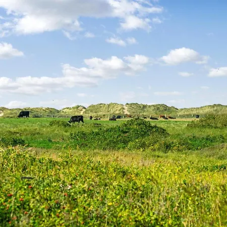 Mortensen - 350m From The Sea In Western Jutland By Interhome Holiday home *